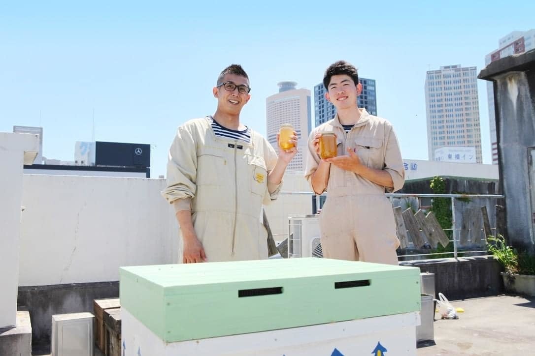 屋上養蜂の様子