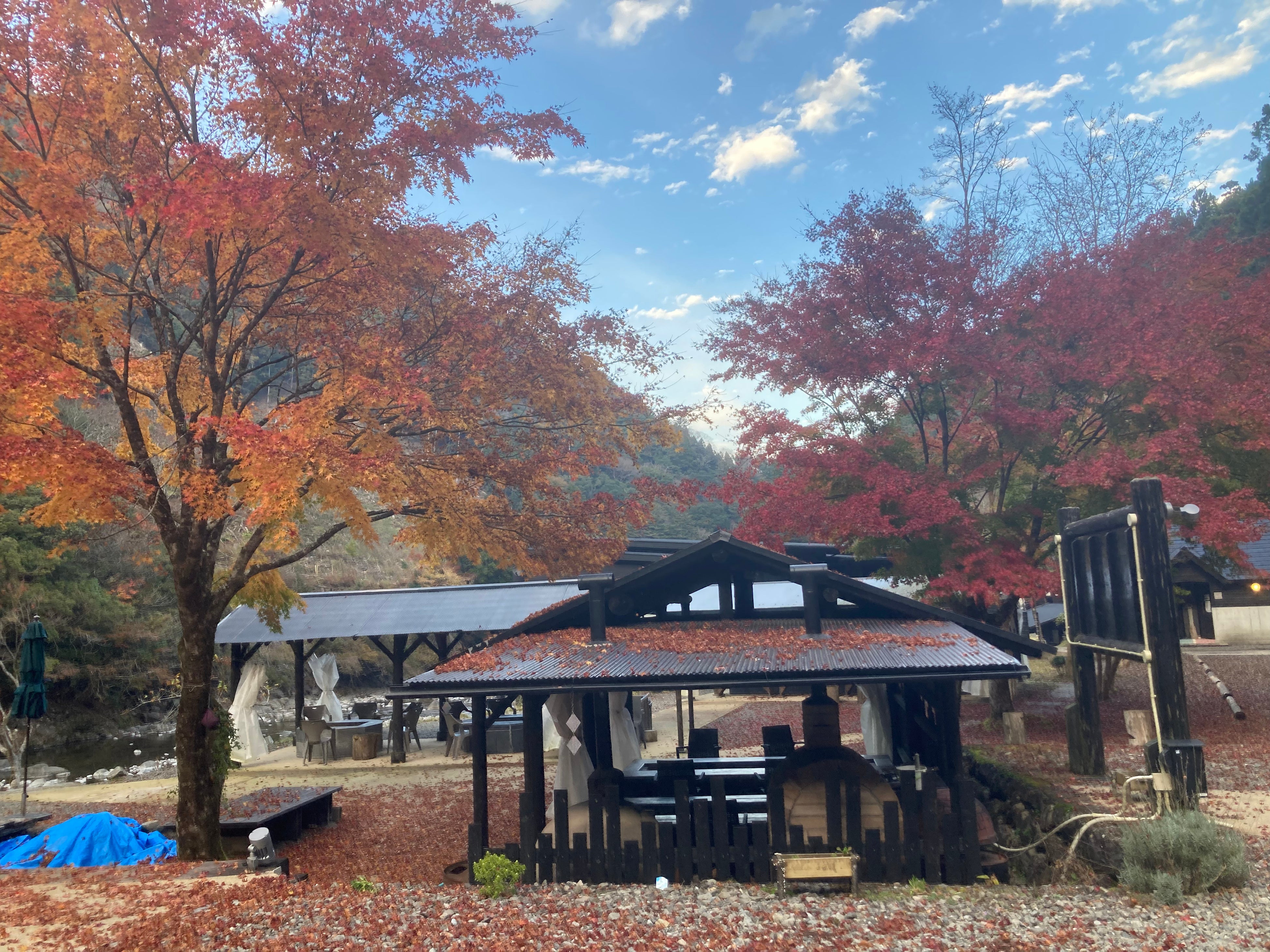 複眼ツアーで訪れた徳島県キャンプパーク木頭　