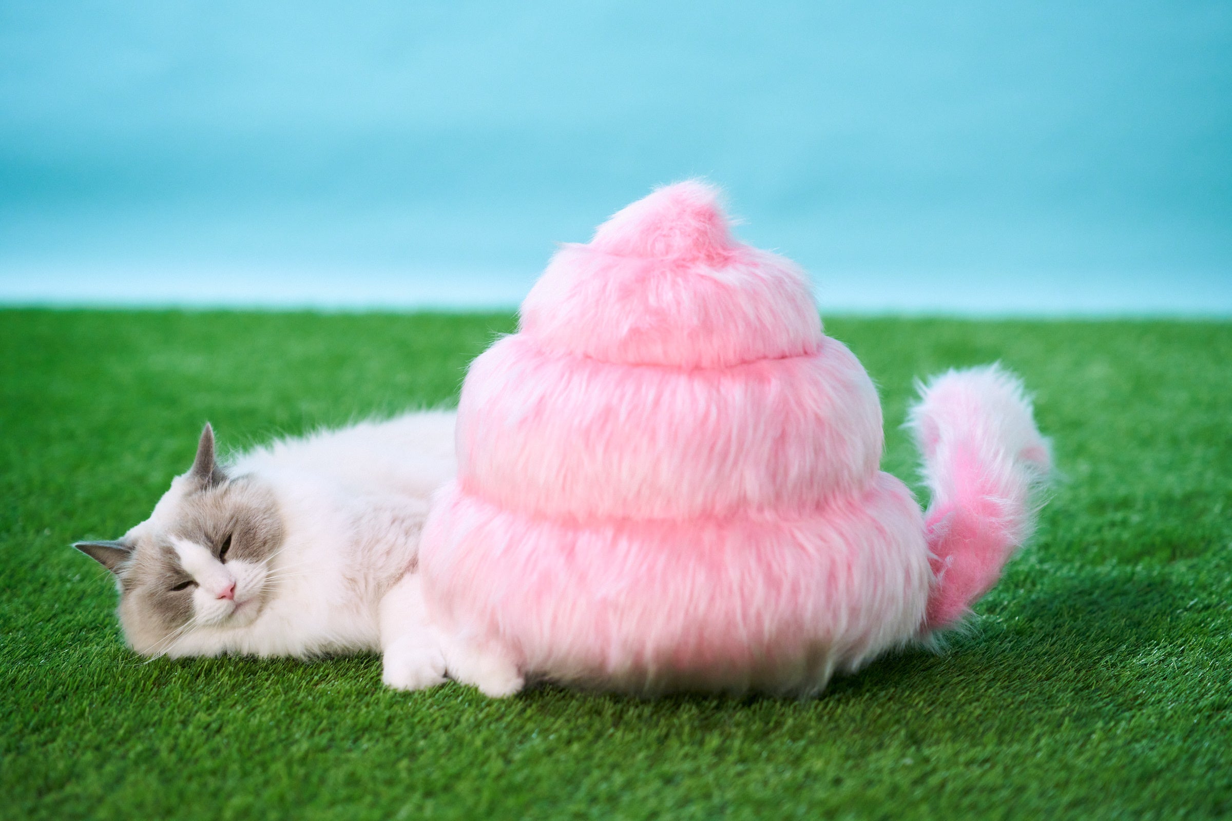 うんこの生き物 うんこ動物 誕生 もふもふ元気いっぱいな うんこ動物 に癒されるひと時を たのしいミュージアムのプレスリリース