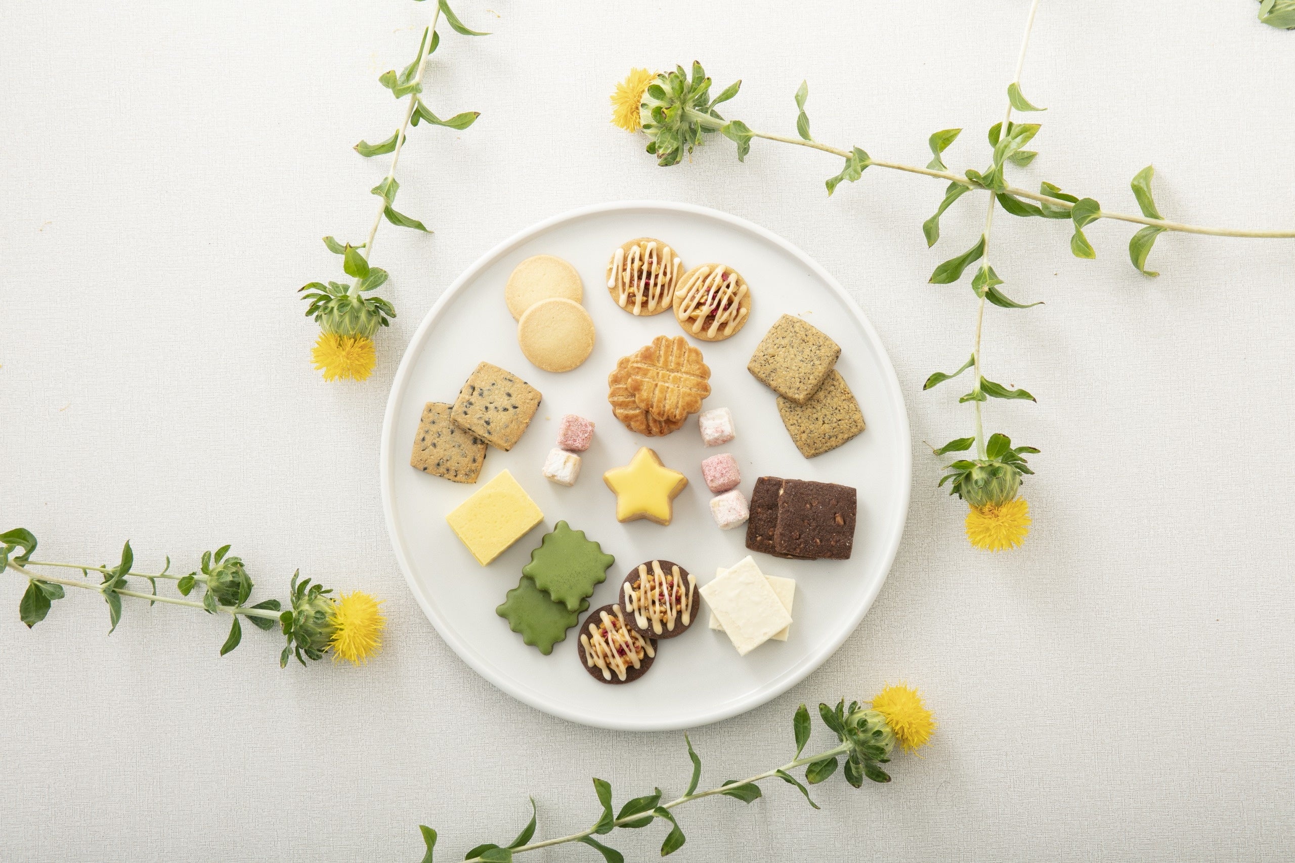 2022年7月1日より発売開始