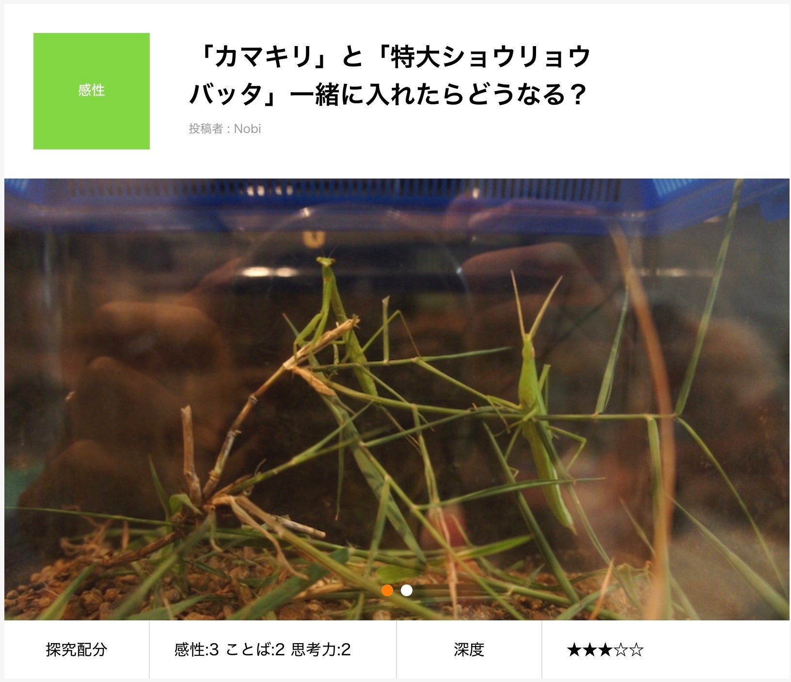 カマキリとバッタ