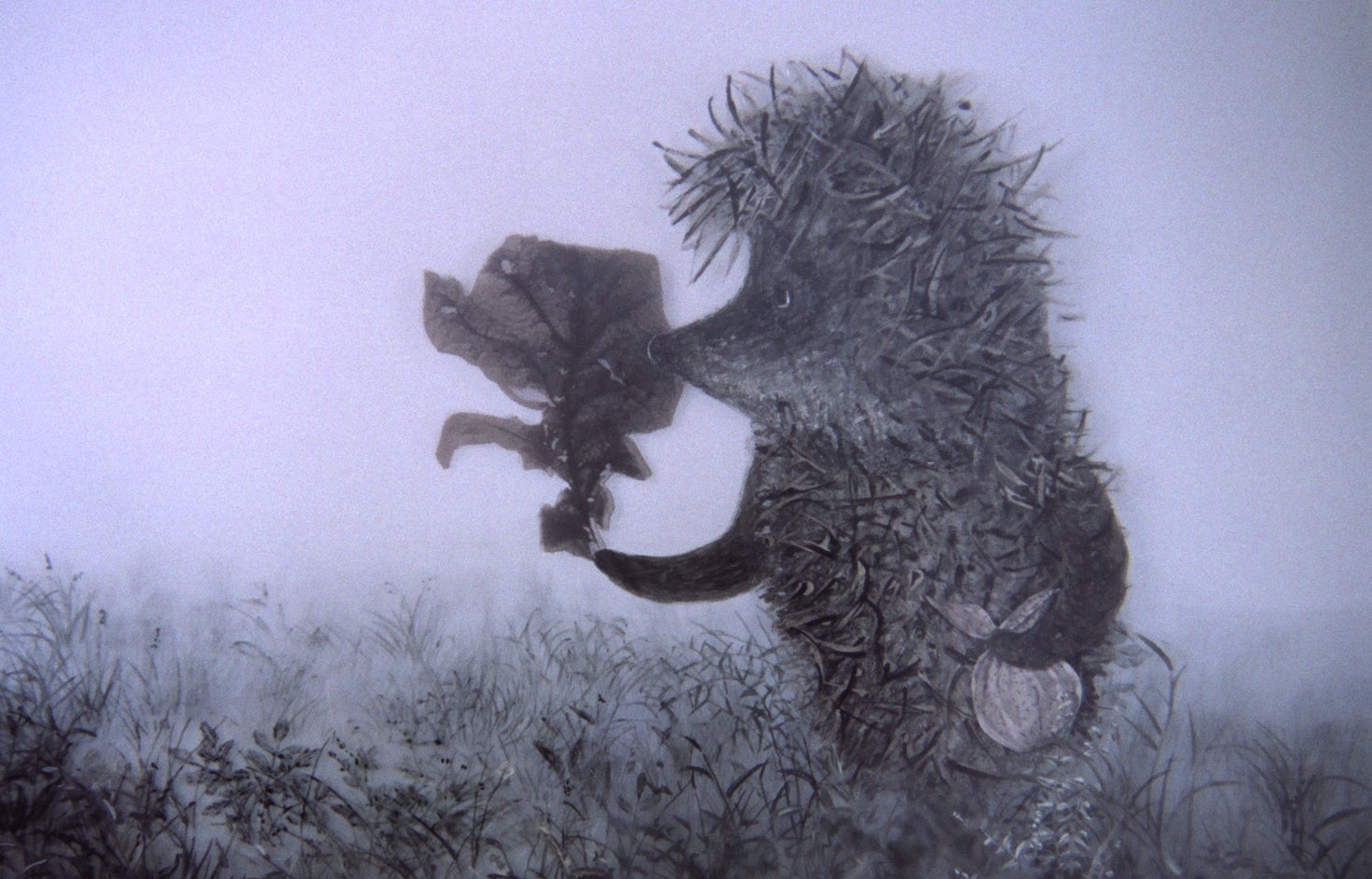 霧の中のハリネズミ　©2016 F.S.U.E. C&P SMF