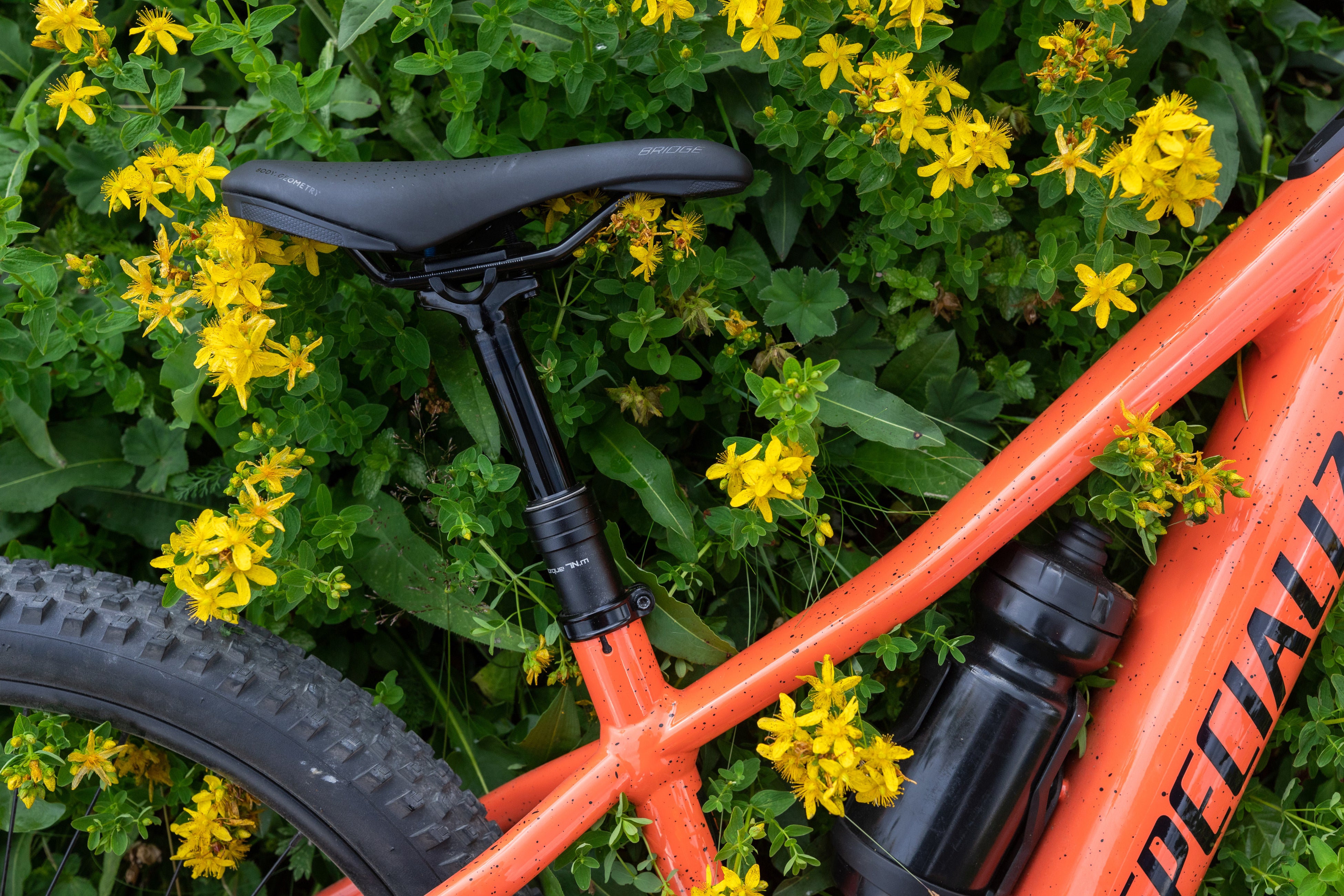 Specialized 24インチ XTR 11速 カスタム MTB 子供用 Specialized 24インチ XTR 11速 カスタム MTB 子供用