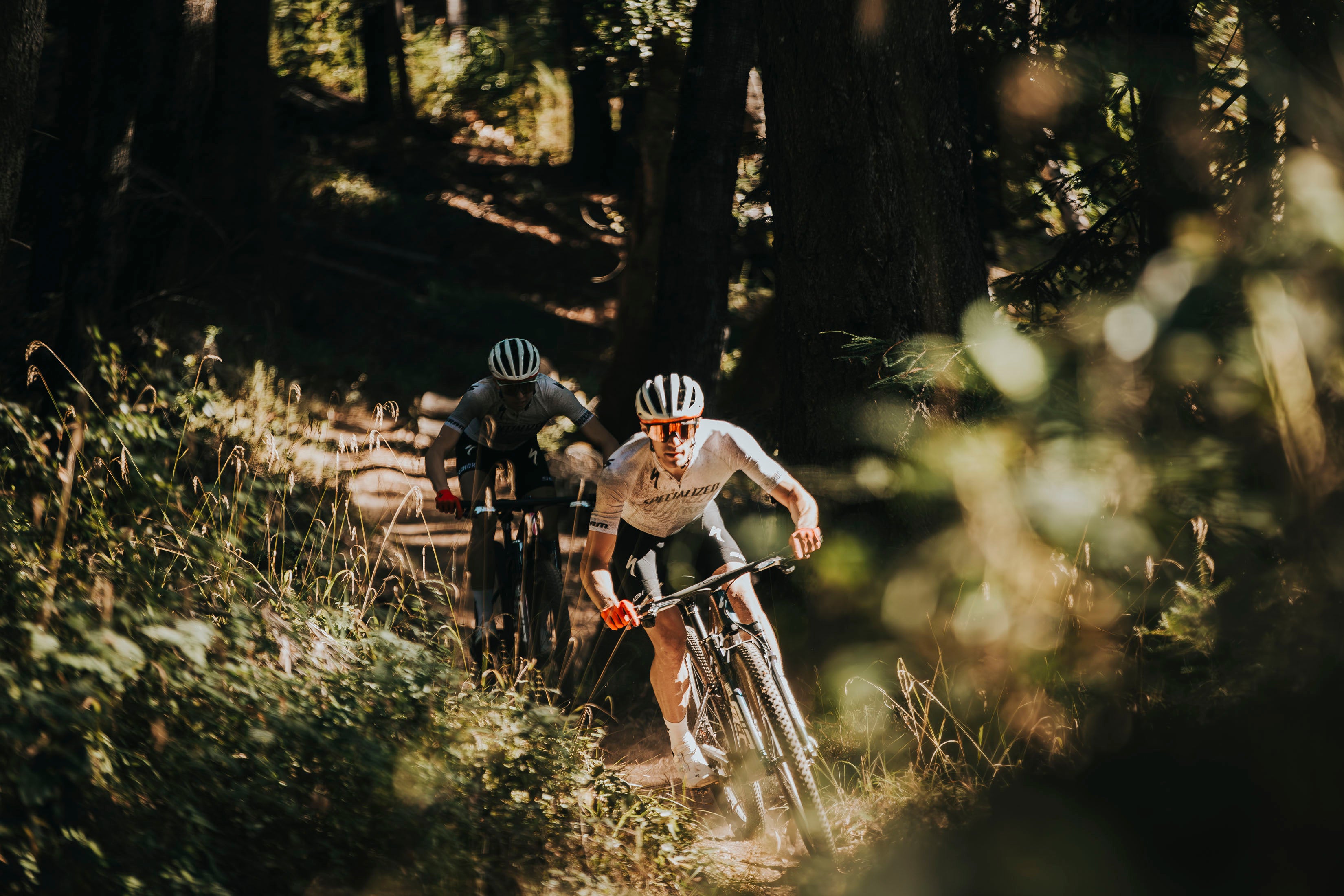 スペシャライズド　MTB フリーライド 街乗りからトレイルライドまで使いやすい「ROCKHOPPER COMP 29