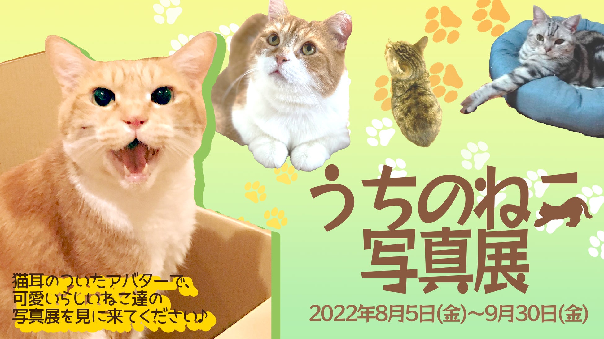 8月8日は世界猫の日 うちのねこ 写真展 をメタバースの商業施設 そらのうえショッピングモール にて開催 ベネリックデジタルエンターテインメント株式会社のプレスリリース 8月8日は世界猫の日 うちのねこ 写真展 をメタバースの商業施設 そらのうえショッピングモール にて開催 ベネリックデジタルエンターテインメント株式会社のプレスリリース