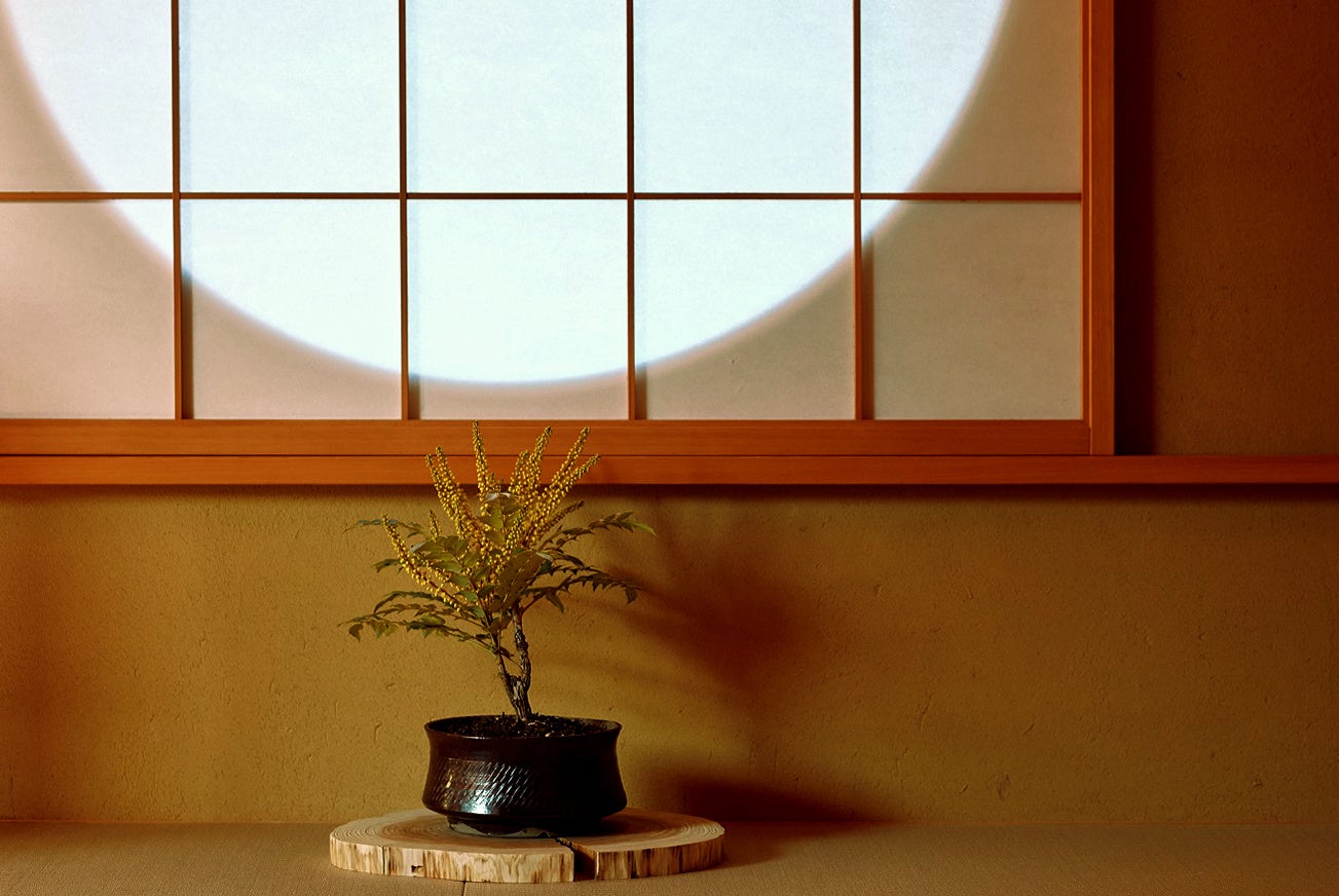 奥日田温泉うめひびき２