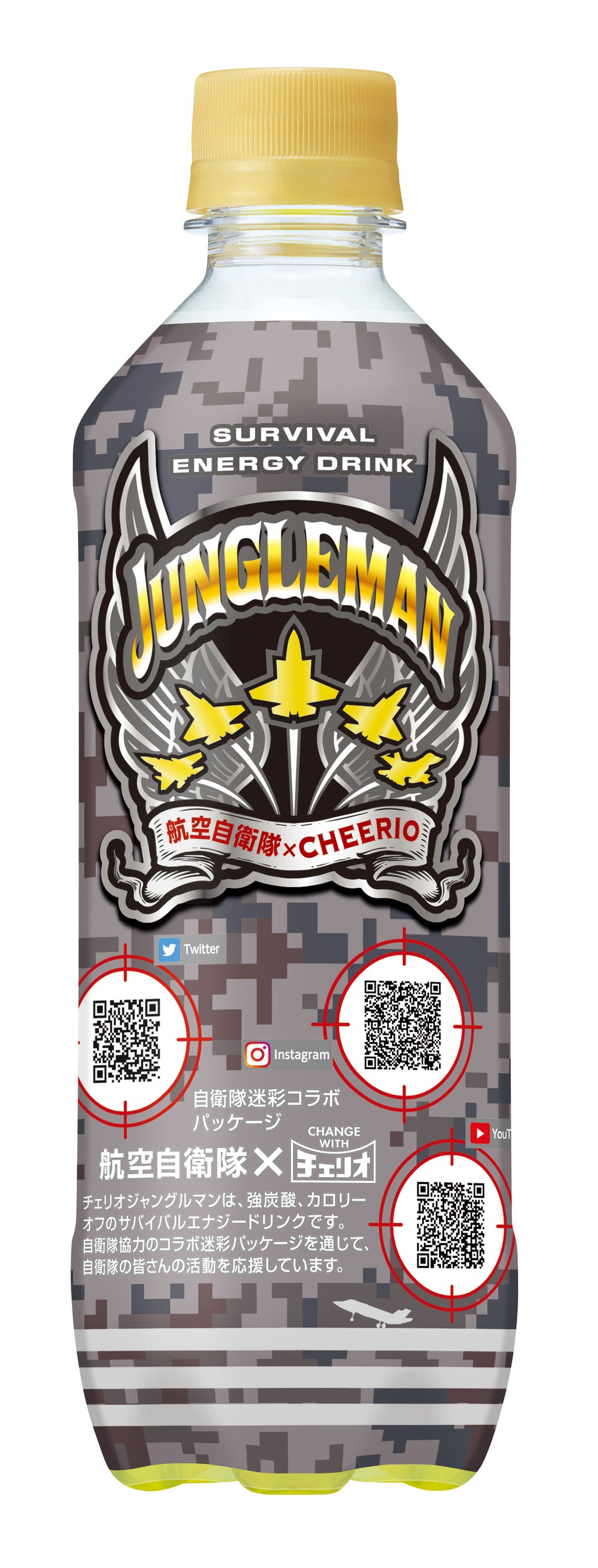 航空自衛隊（裏面）