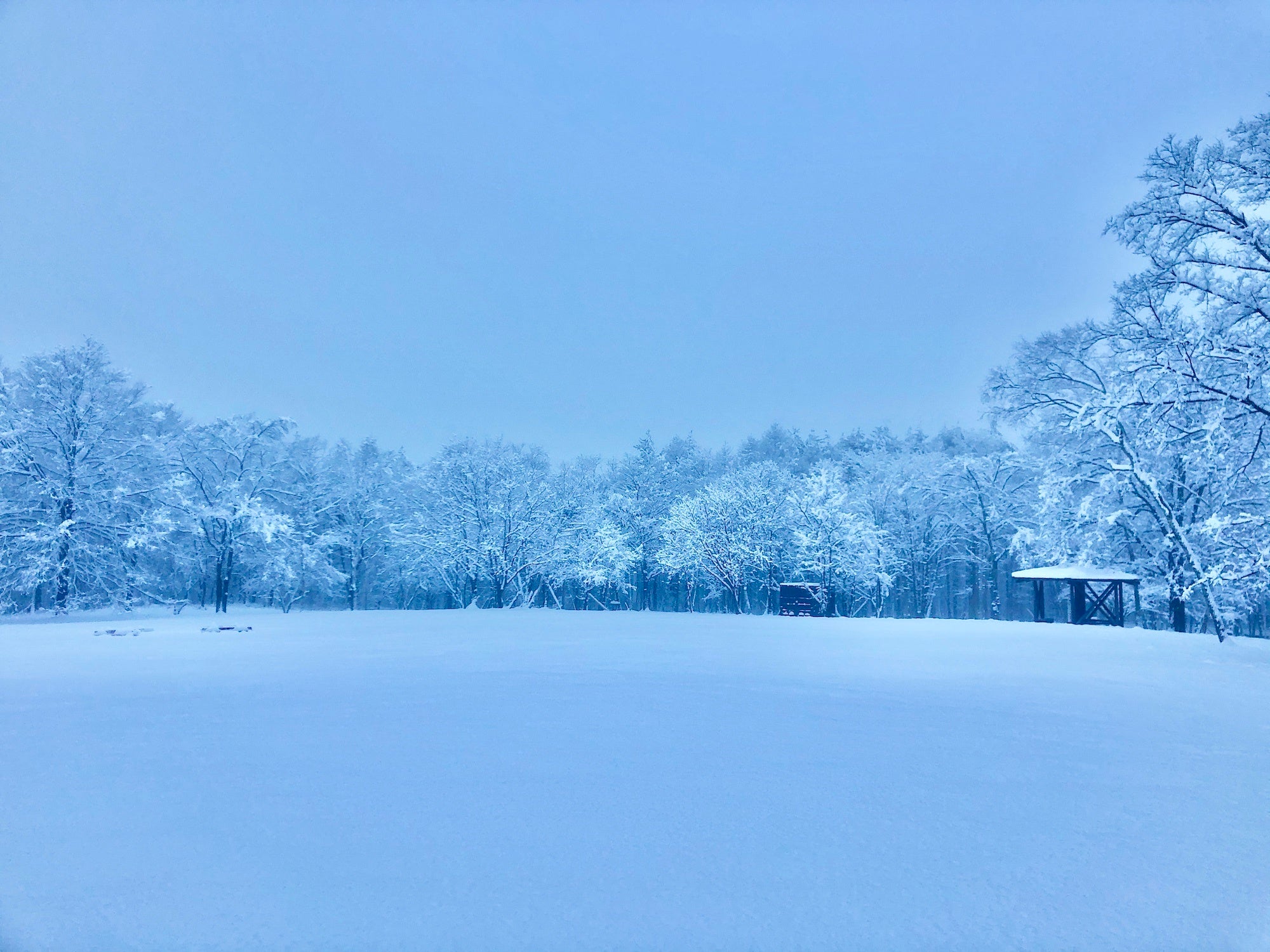 一人一台、スマートフォンとヘッドフォンでアプリからの音を聴きながらリアルな自然を五感で捉えます。