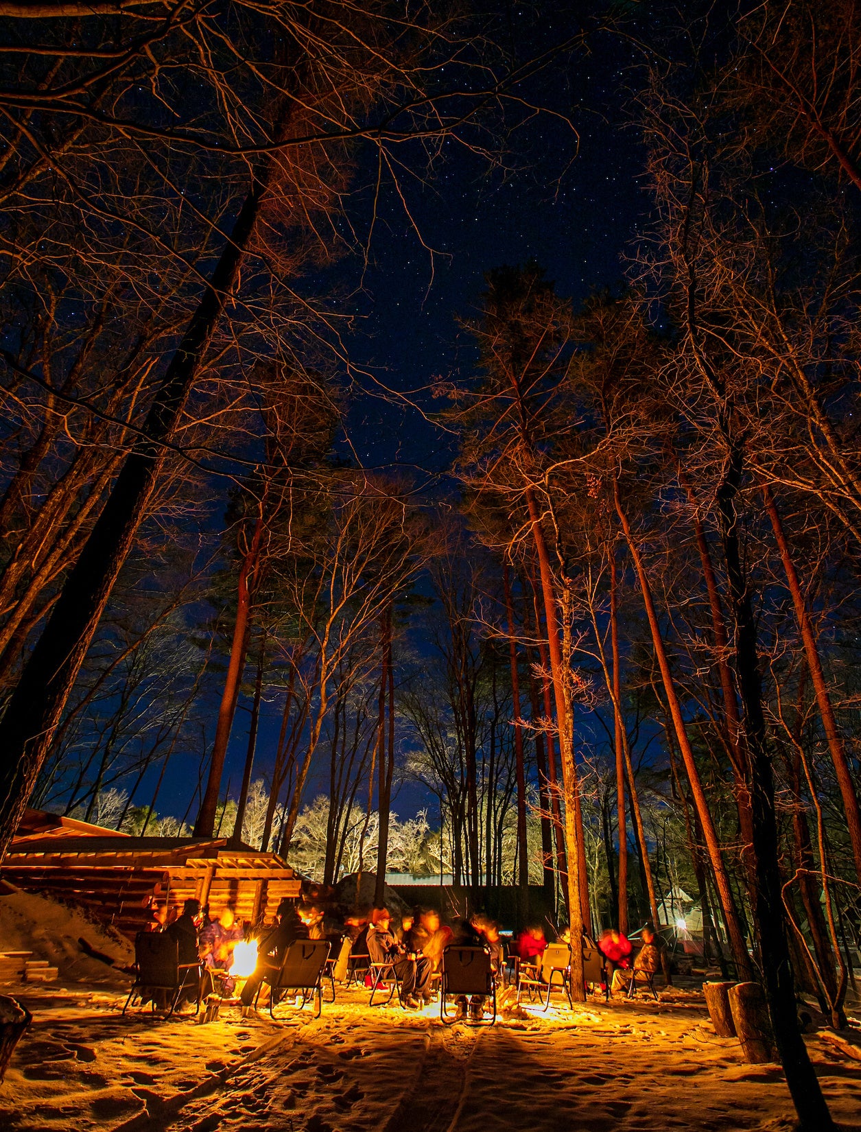 ライジング・フィールドで焚き火を囲み、共に時間を過ごす様子