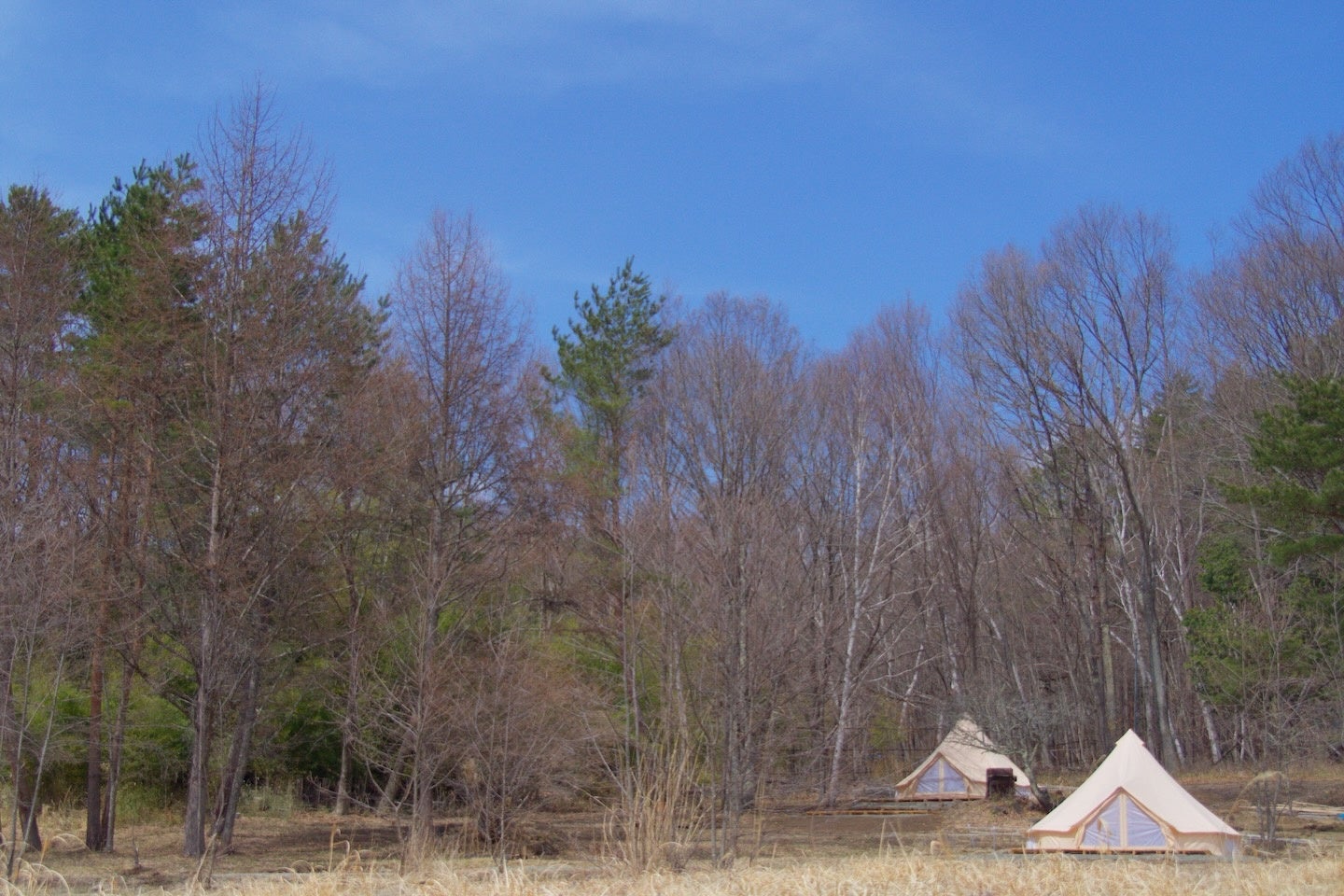 グランピング・テントエリア 全景
