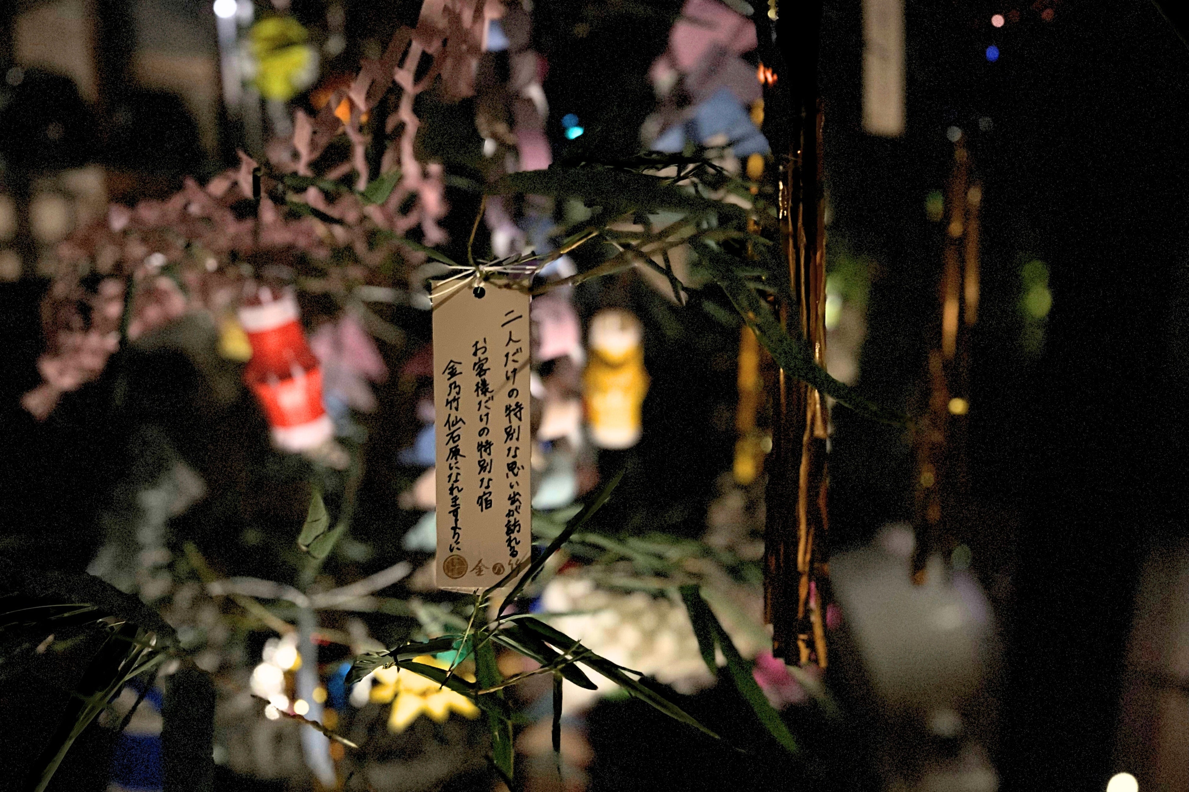 「金乃竹 仙石原」Barに設置された笹飾り