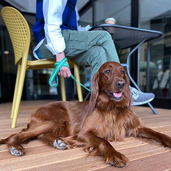 ワンちゃんも一緒にテラスでリラックス
