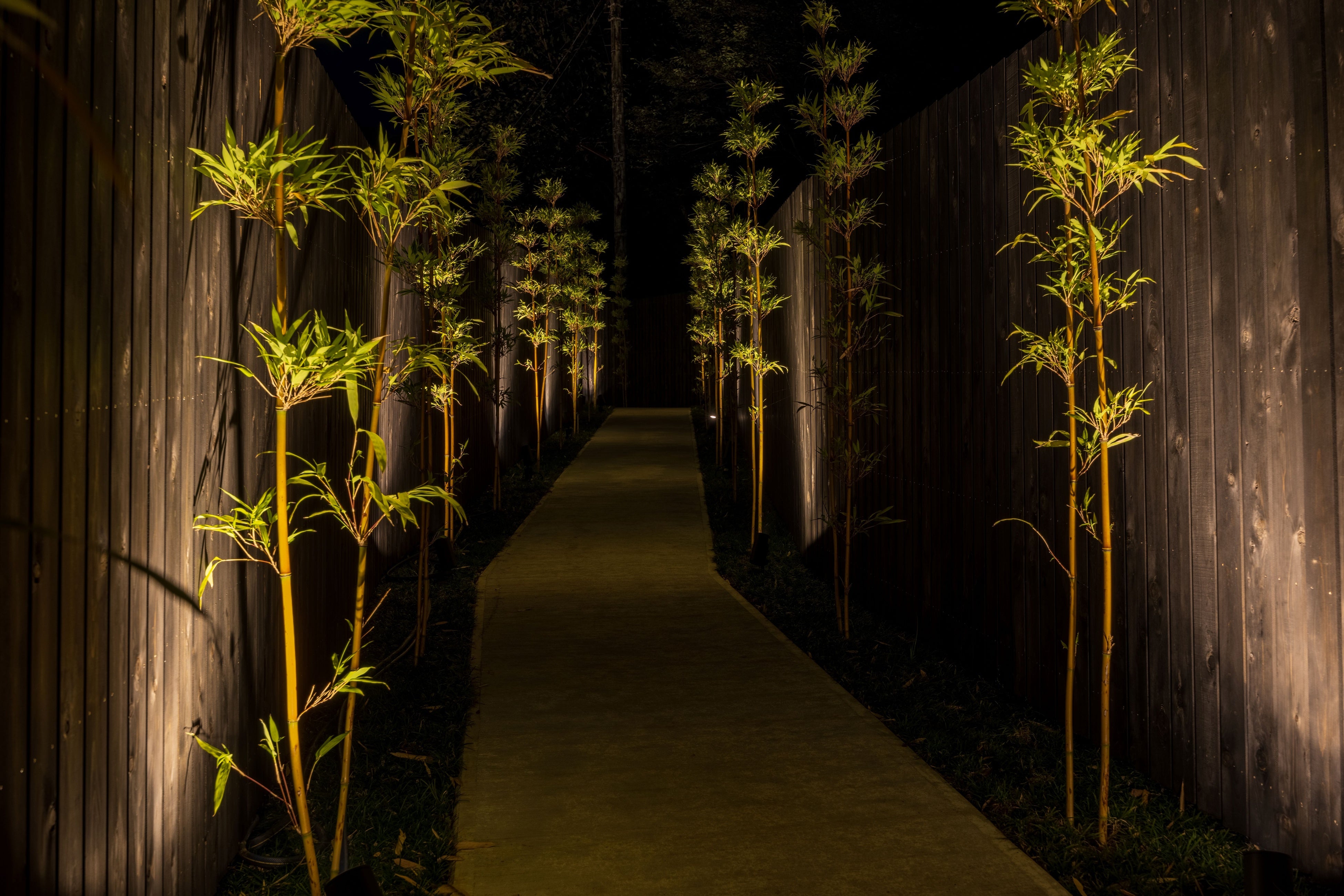 店内までのアプローチ