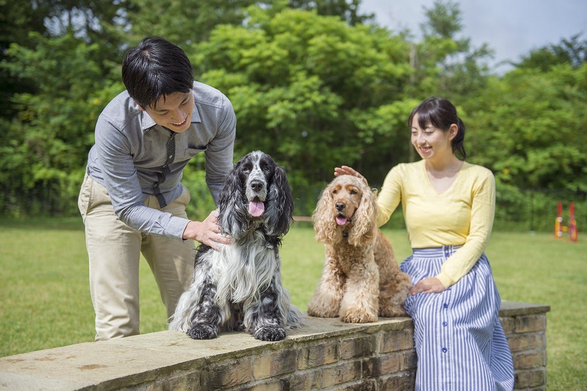 「施設イメージ」