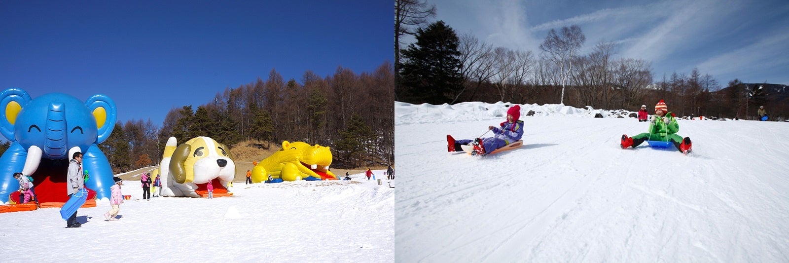 富士見高原スキー場／サンメドウズ清里