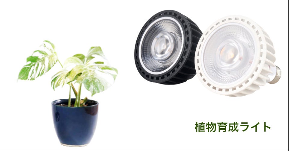 植物育成ライトは太陽光の代わりになります
