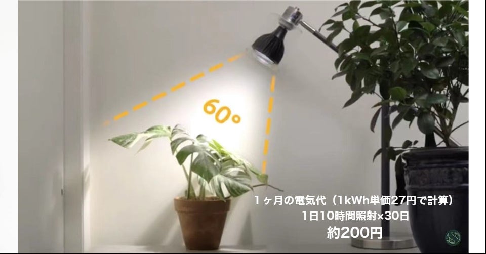 一ヵ月電気代約200円です