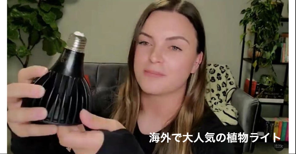 海外で大人気です