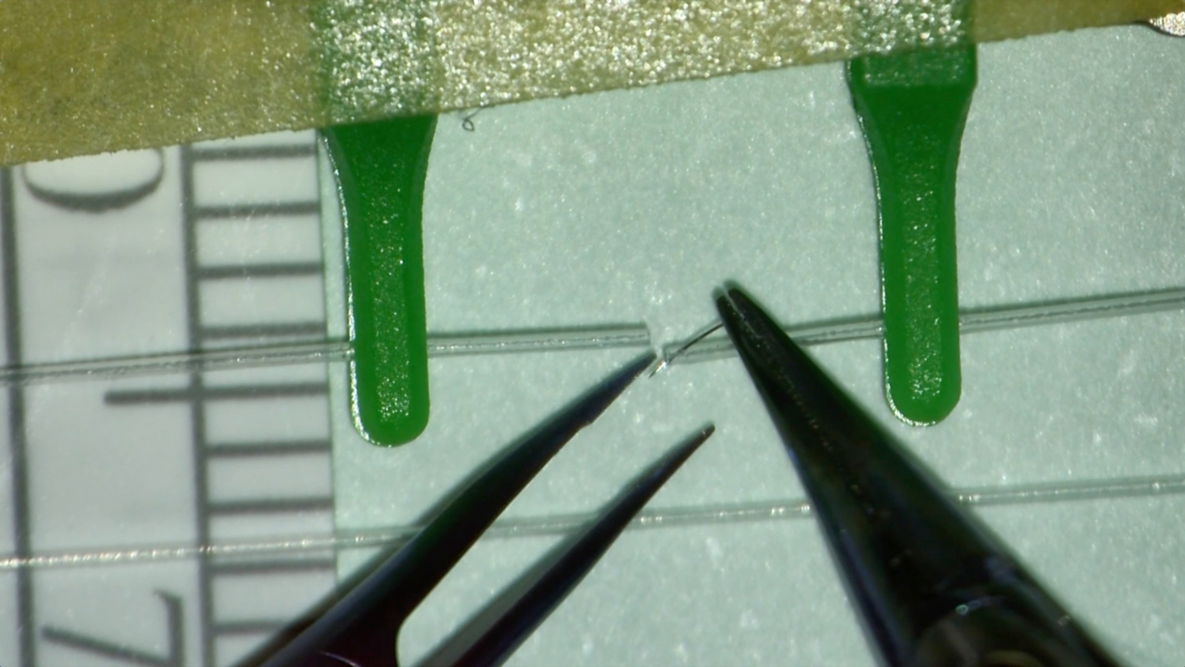 ロボットマニピュレータが直径0.3mmの練習用血管模型に縫合針を刺す様子。