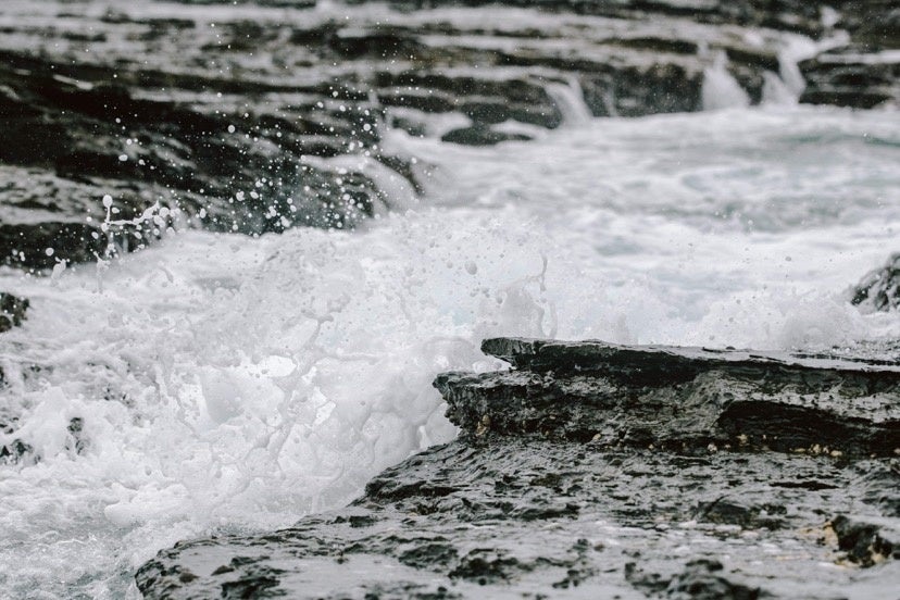 写真集に使用予定の写真2