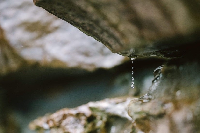 写真集に使用予定の写真1