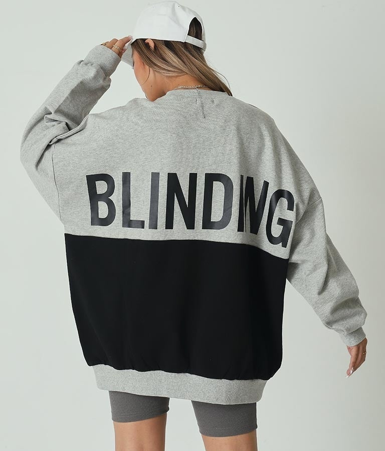 ANAP掲載予定商品１