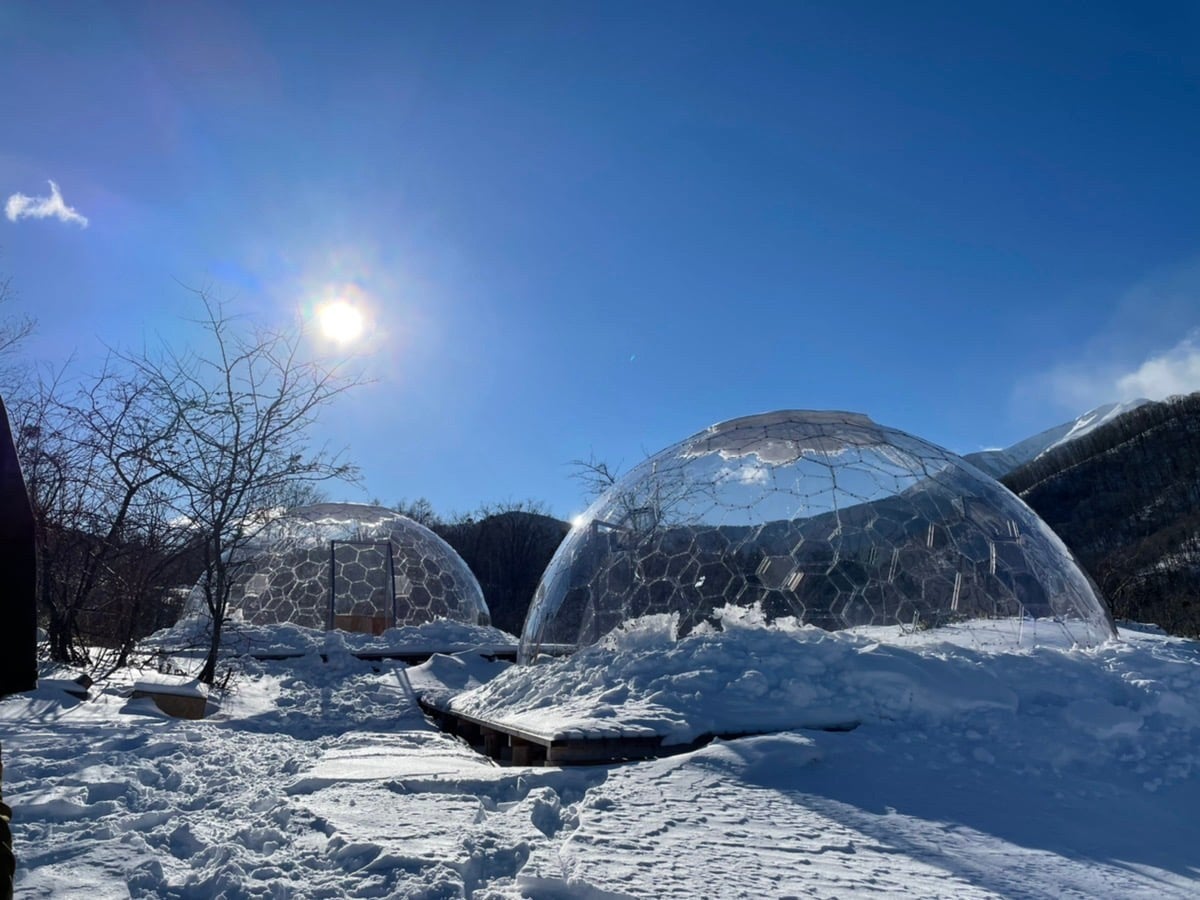 乗鞍Lab  中部山岳国立公園