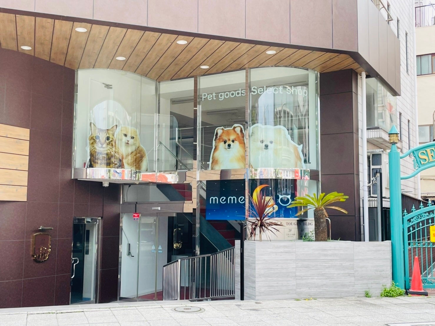 日本初出店 ラグジュアリー本革犬具ブランド Now Fountain For Pets がmemeco横浜店 にて展示 店頭販売をスタート 株式会社イマイのプレスリリース 日本初出店 ラグジュアリー本革犬具ブランド Now Fountain For Pets がmemeco横浜店 にて展示 店頭販売をスタート 株式会社イマイのプレスリリース