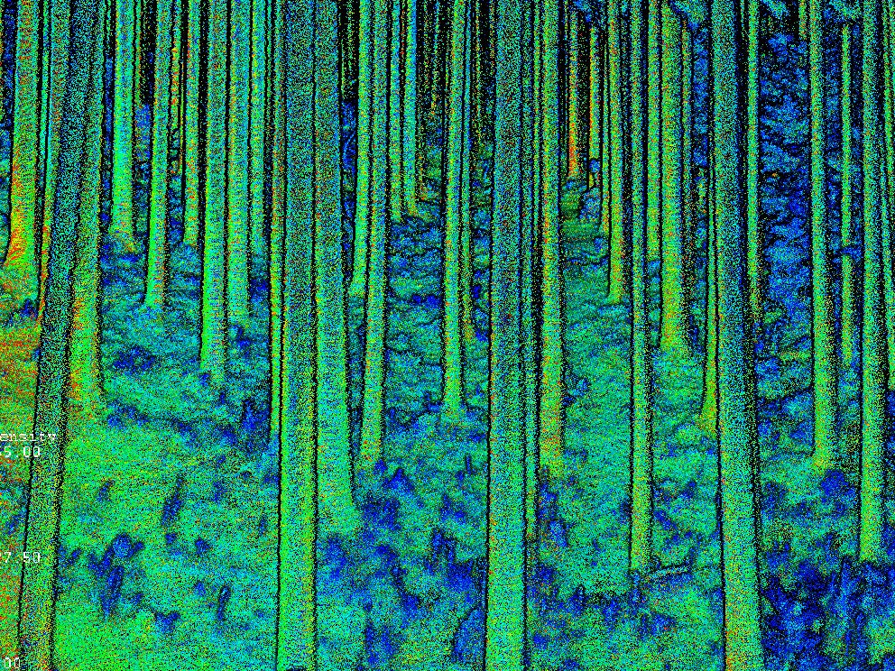 点群データ（反射強度）