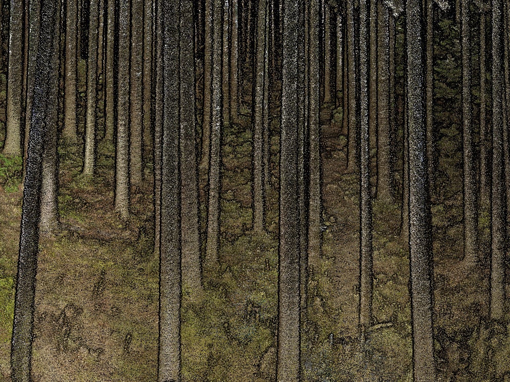 点群データ（RGB）