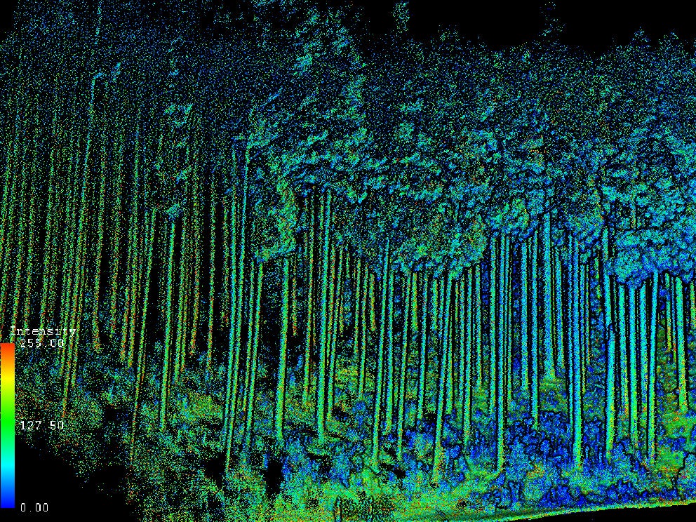 全体　点群データ（反射強度）