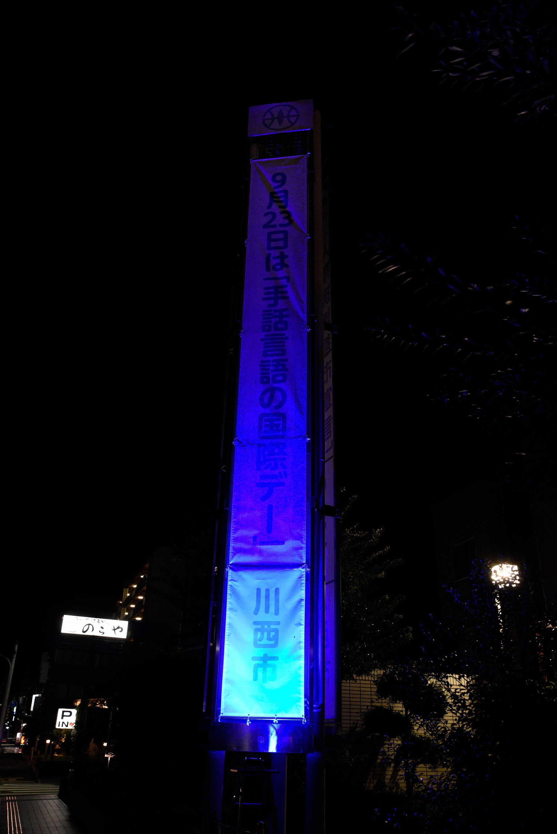 ライトアップの様子