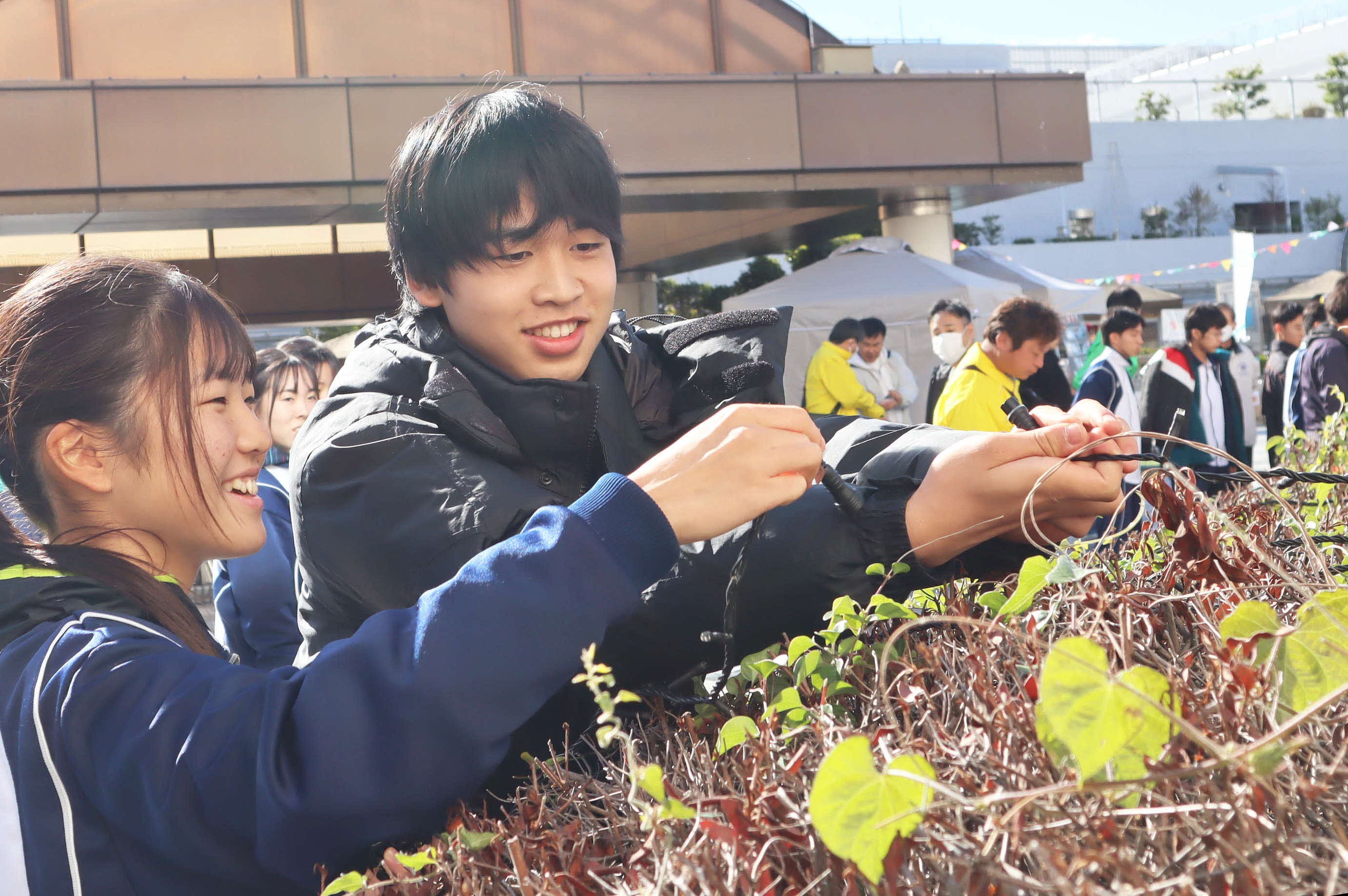 手をつなぐ川西　光の和
