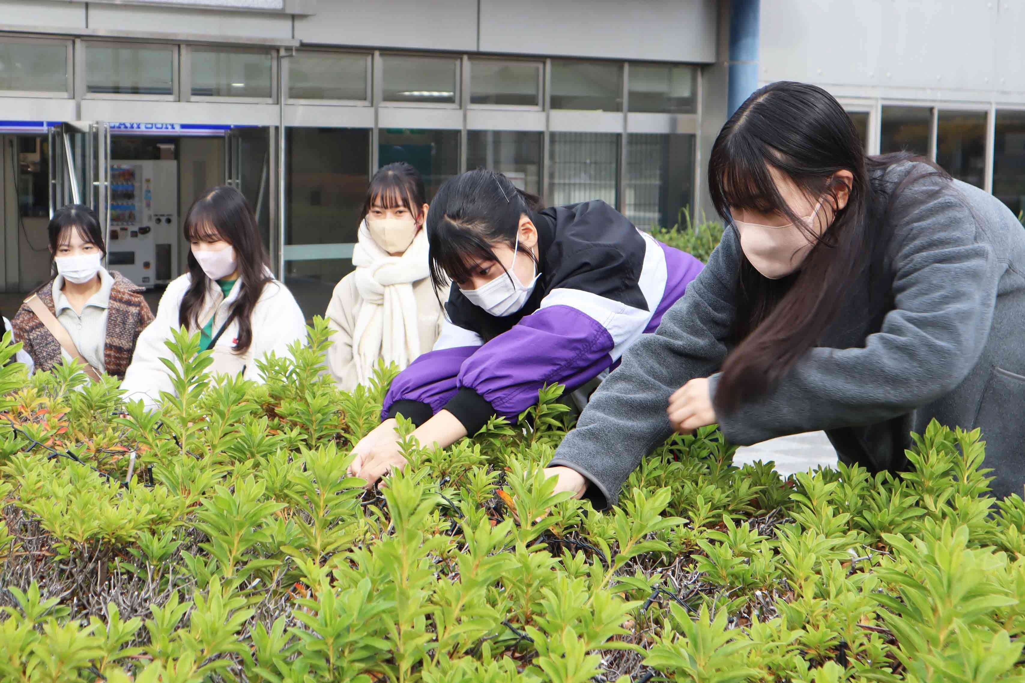 手をつなぐ川西光の和