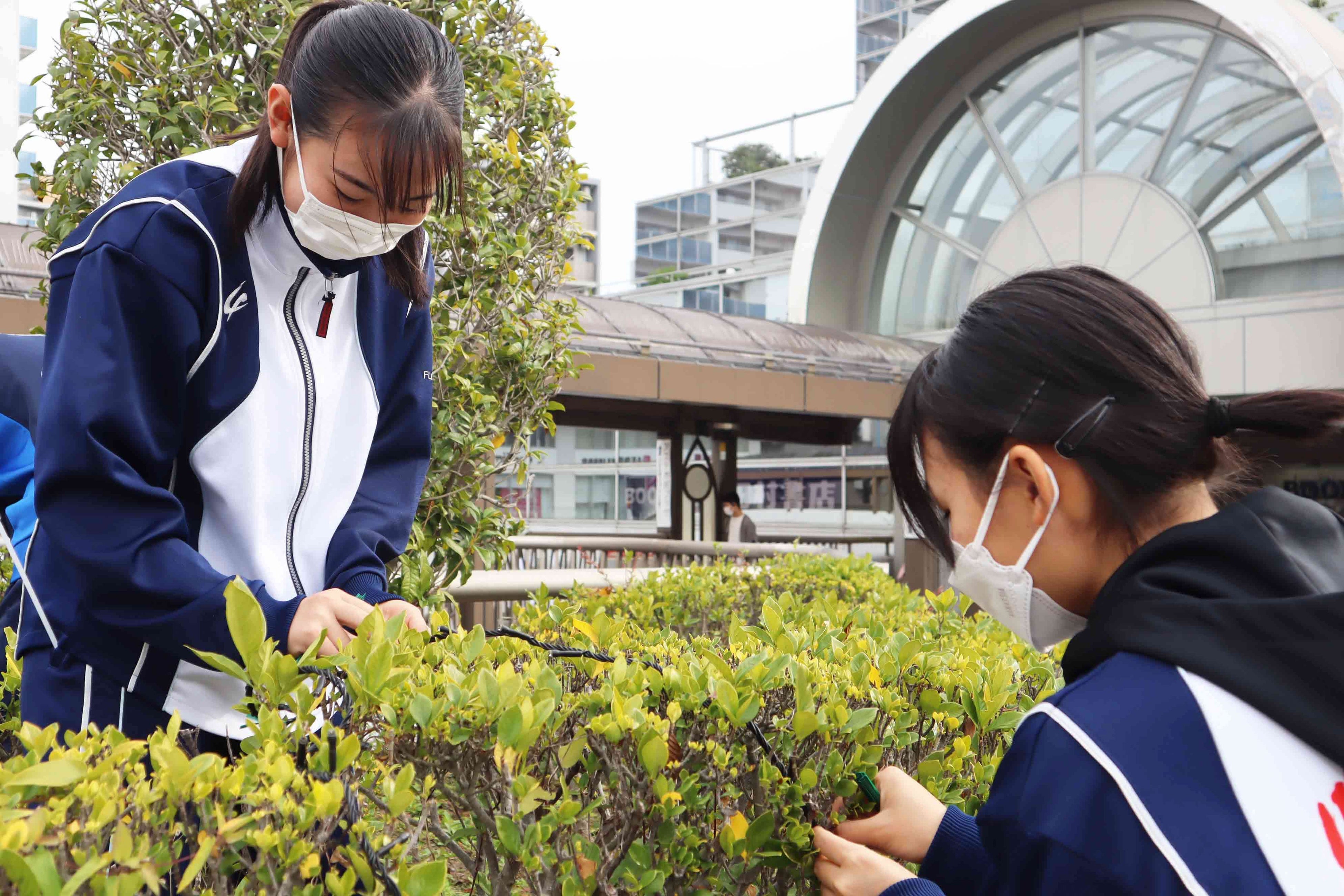手をつなぐ川西光の和