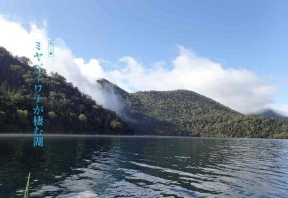 第１２章　ミヤベイワナが棲む湖