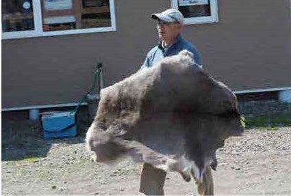 第１９章　北の大地に恋した人