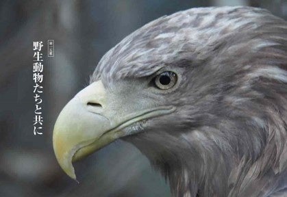 第１５章　野生動物たちと共に