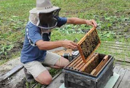 第１９章　北の大地に恋した人