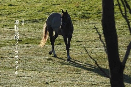 第２章　遊牧民的ライフスタイル