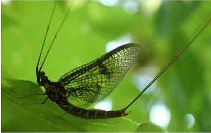 第１７章　北の湖は命の揺りかご