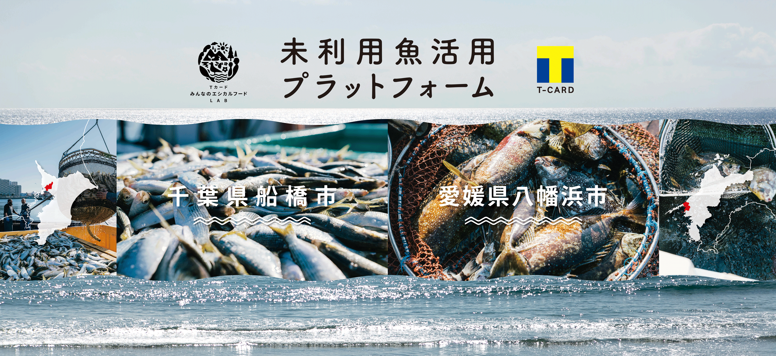 Tカードのビッグデータ×持続可能な漁業につながる“未利用魚”で商品開発