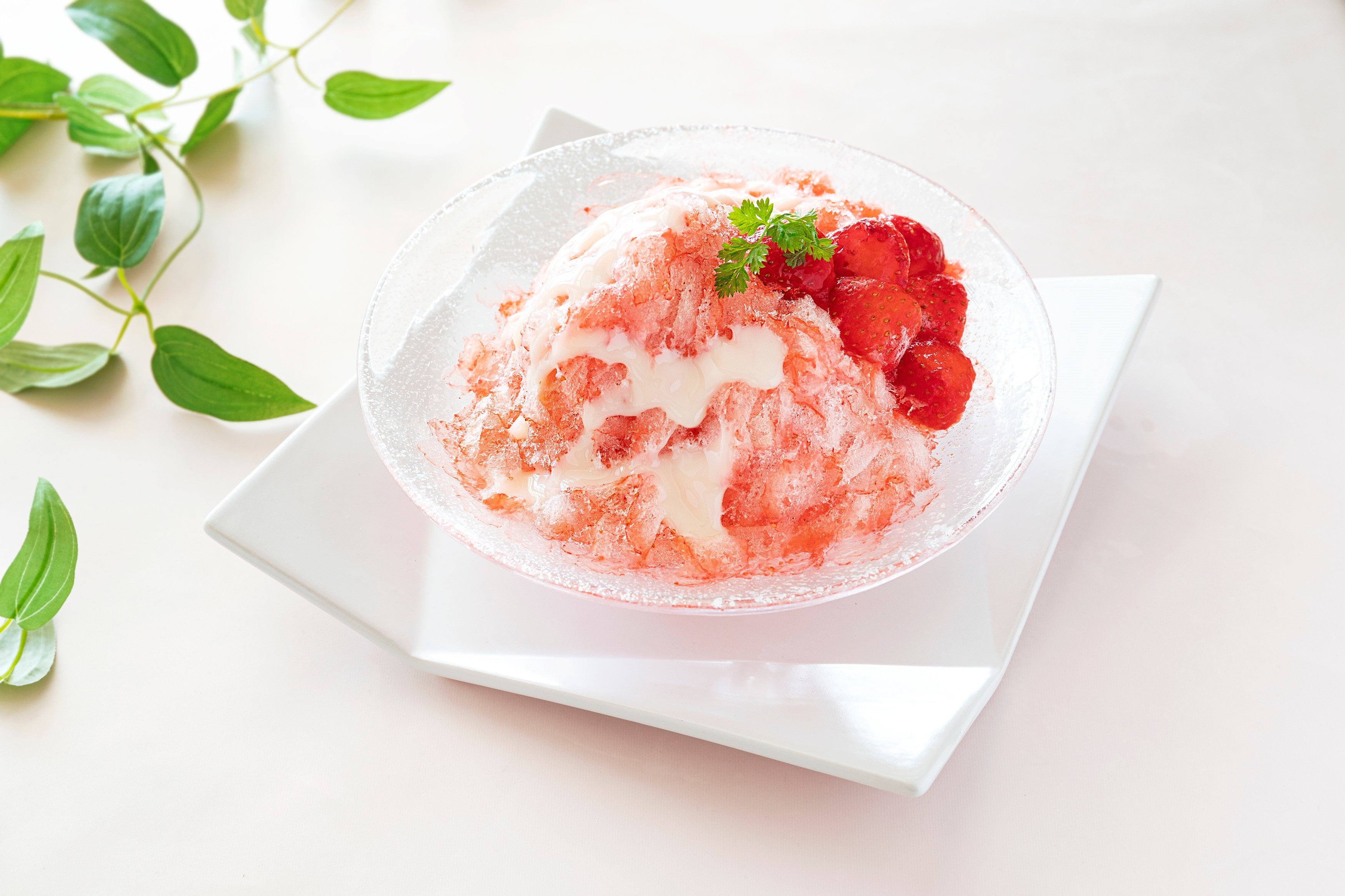 伊豆紅ほっぺの