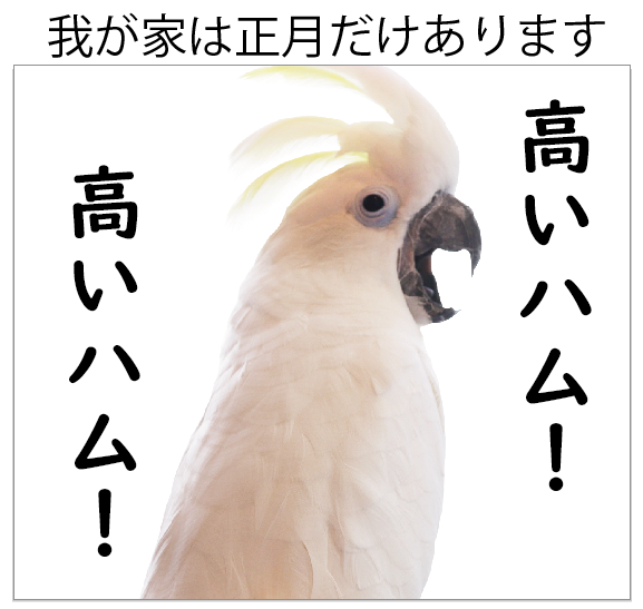 大型鳥さん用】重量感たっぷり ♪ 頑丈などすこいオウムスタンド
