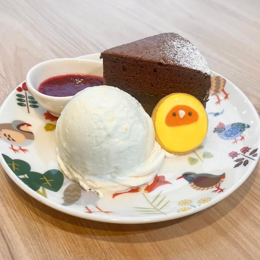 ことりカフェ心斎橋】小鳥と触れ合える⁉ 話題のコンセプトカフェ