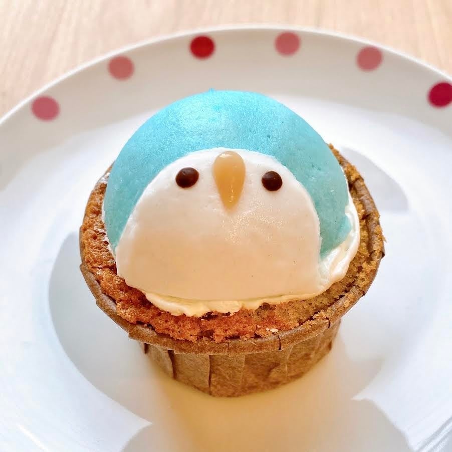 ことりカフェ心斎橋】小鳥と触れ合える⁉ 話題のコンセプトカフェ