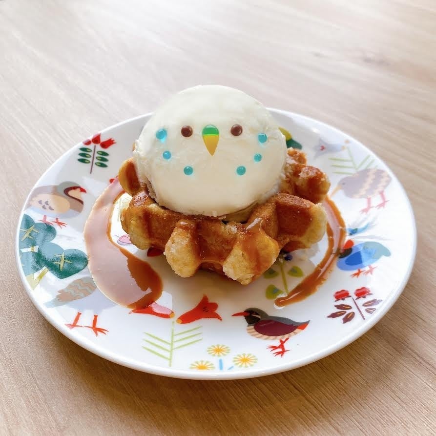 ☆鳥さんと触れ合える ことりカフェ心斎橋が2023年11月18日