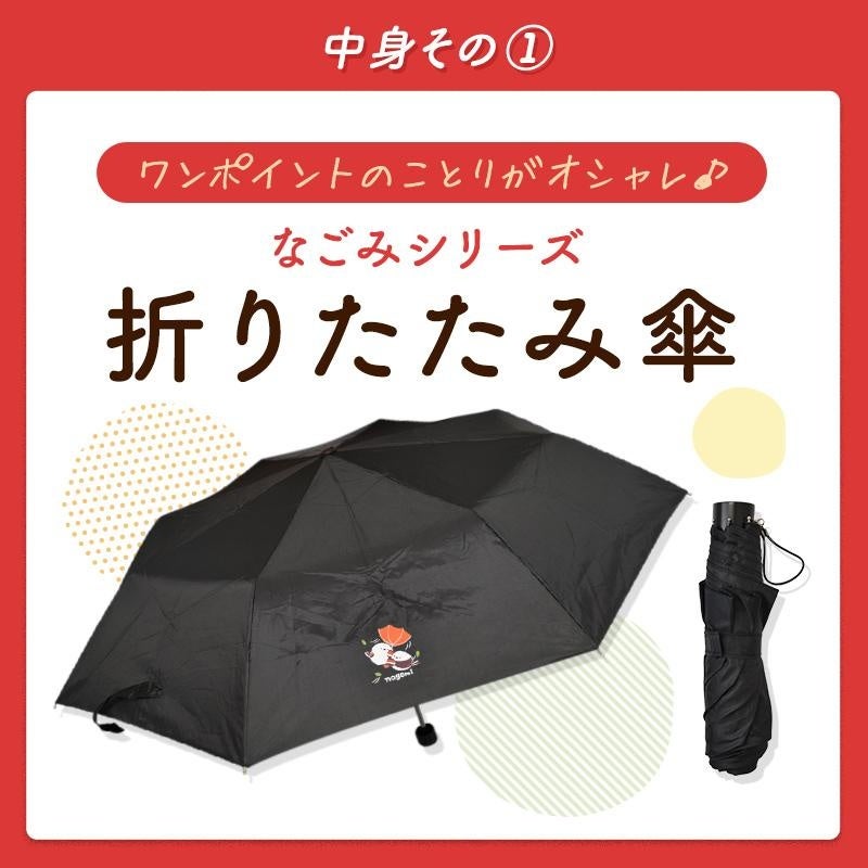 2024年福袋】毎年完売御礼！小鳥雑貨の豪華福袋◎2023年11月22日