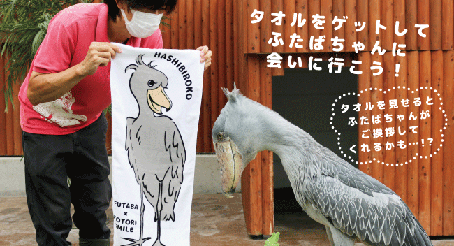 静岡の人気観光地 掛川花鳥園 小鳥と触れ合えるコンセプトカフェ ことりカフェ心斎橋 のコラボ商品がリリース決定 株式会社エクシードジャパンのプレスリリース