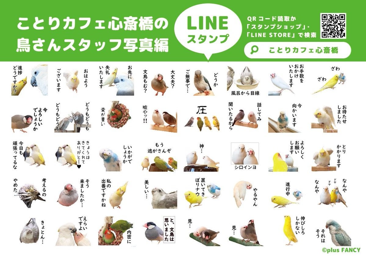 Lineスタンプ ことりカフェ心斎橋のかわいい鳥さんからのシュールな一言 日常で大活躍間違いなしのlineスタンプリリース 株式会社エクシードジャパンのプレスリリース Lineスタンプ ことりカフェ心斎橋のかわいい鳥さんからのシュールな一言 日常で大活躍間違いなしのlineスタンプリリース 株式会社エクシードジャパンのプレスリリース